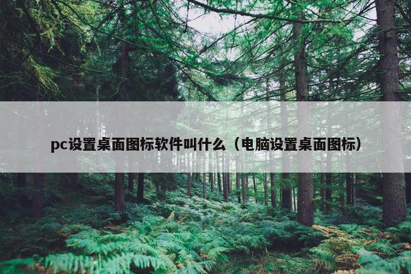 pc设置桌面图标软件叫什么（电脑设置桌面图标）