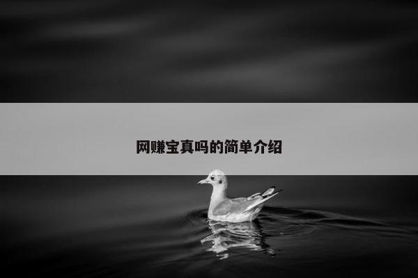 网赚宝真吗的简单介绍