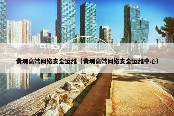黄埔高端网络安全运维（黄埔高端网络安全运维中心）