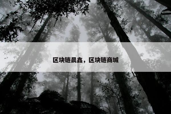 区块链晨鑫，区块链商城