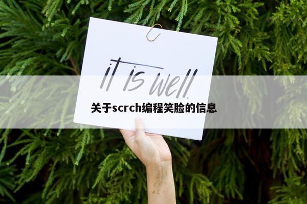 关于scrch编程笑脸的信息