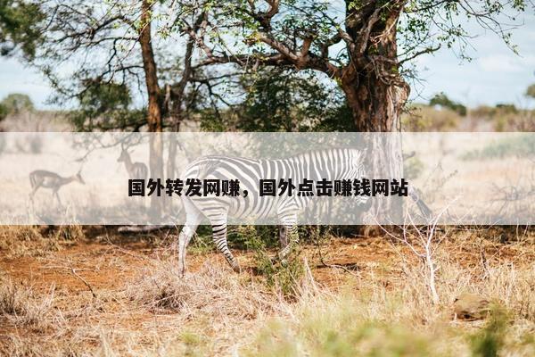 国外转发网赚，国外点击赚钱网站