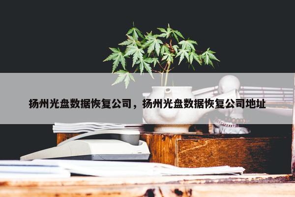 扬州光盘数据恢复公司，扬州光盘数据恢复公司地址