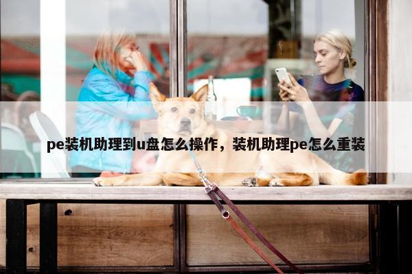pe装机助理到u盘怎么操作，装机助理pe怎么重装