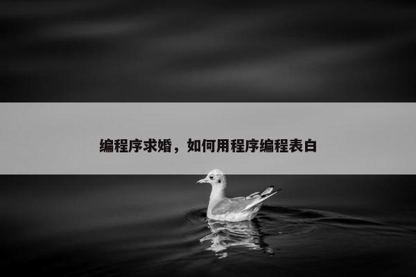 编程序求婚，如何用程序编程表白
