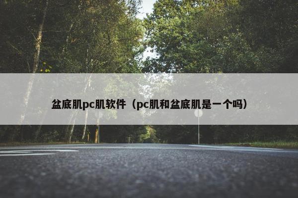 盆底肌pc肌软件（pc肌和盆底肌是一个吗）
