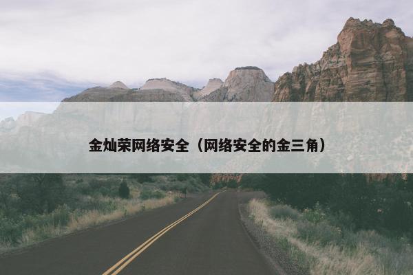 金灿荣网络安全（网络安全的金三角）