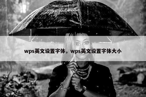 wps英文设置字体，wps英文设置字体大小