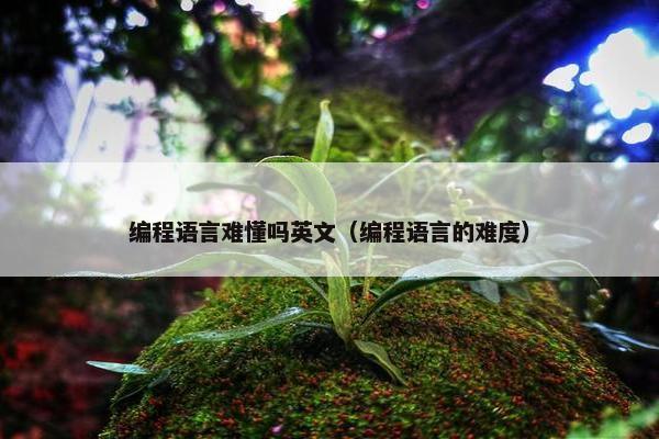 编程语言难懂吗英文（编程语言的难度）