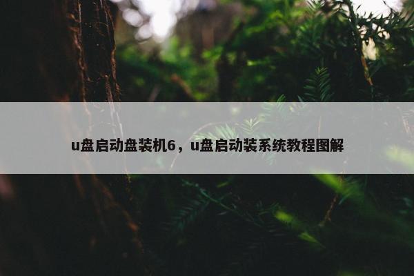 u盘启动盘装机6，u盘启动装系统教程图解