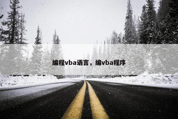 编程vba语言，编vba程序