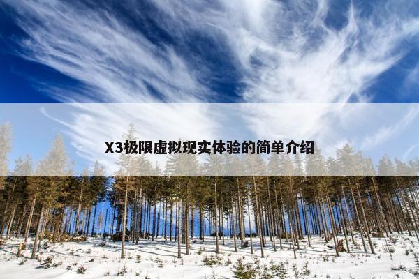 X3极限虚拟现实体验的简单介绍