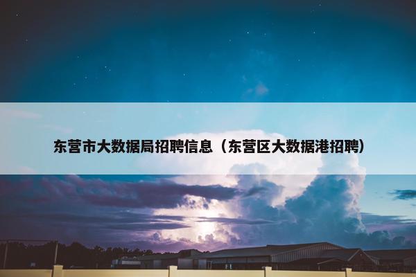 东营市大数据局招聘信息（东营区大数据港招聘）