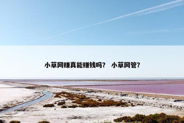 小草网赚真能赚钱吗？ 小草网管？