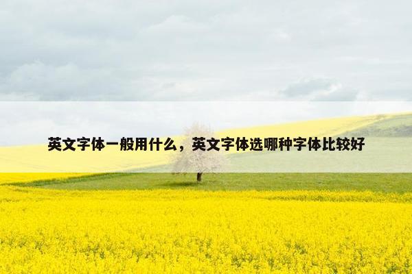 英文字体一般用什么，英文字体选哪种字体比较好