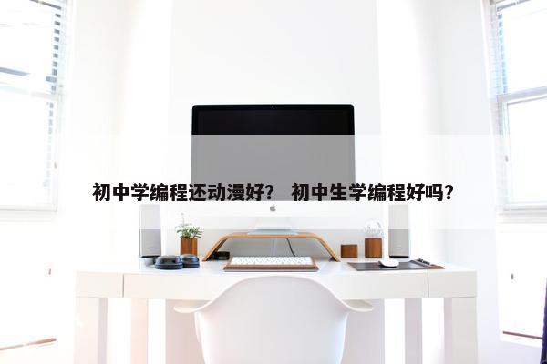 初中学编程还动漫好？ 初中生学编程好吗？