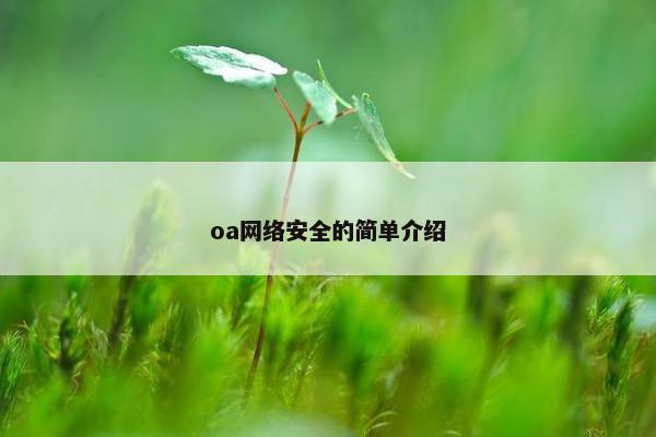oa网络安全的简单介绍