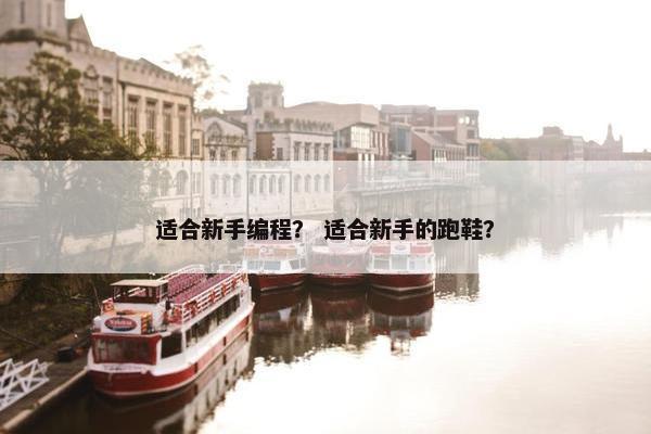 适合新手编程？ 适合新手的跑鞋？