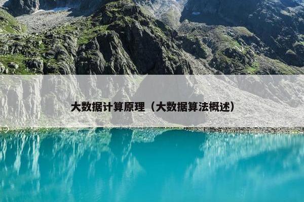 大数据计算原理（大数据算法概述）