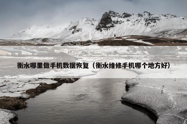 衡水哪里做手机数据恢复（衡水维修手机哪个地方好）