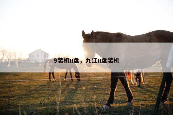 9装机u盘，九江u盘装机
