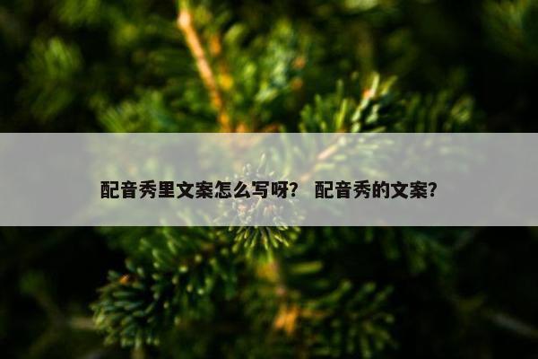 配音秀里文案怎么写呀？ 配音秀的文案？