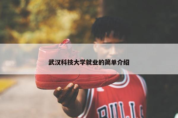 武汉科技大学就业的简单介绍