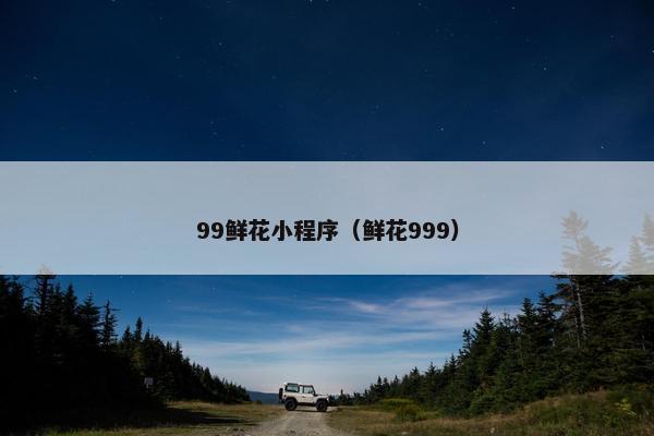 99鲜花小程序（鲜花999）