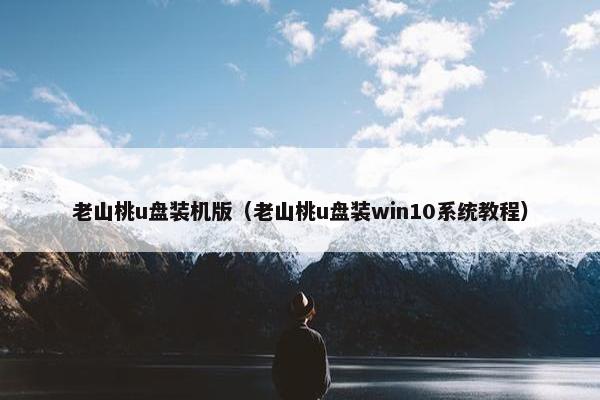 老山桃u盘装机版（老山桃u盘装win10系统教程）