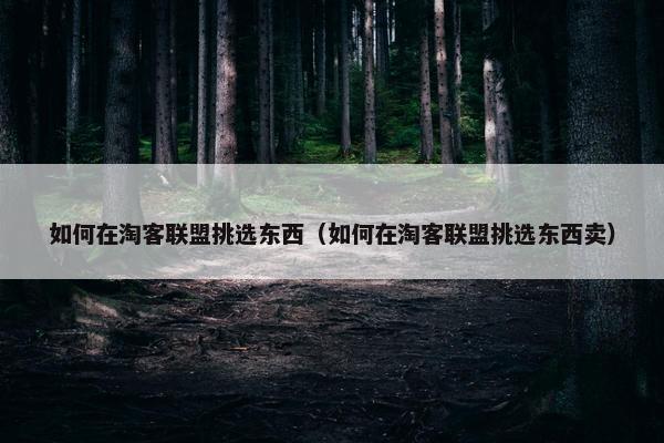如何在淘客联盟挑选东西（如何在淘客联盟挑选东西卖）
