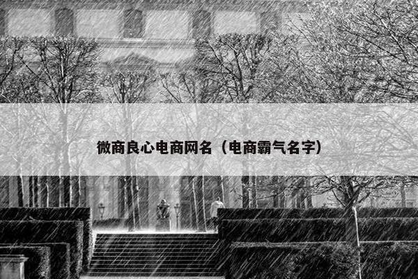 微商良心电商网名（电商霸气名字）