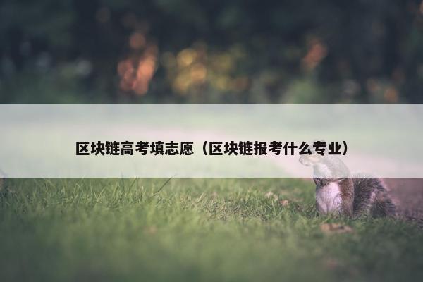 区块链高考填志愿（区块链报考什么专业）