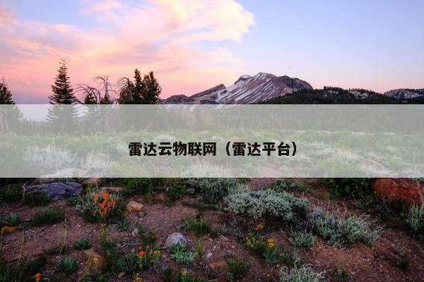 雷达云物联网（雷达平台）