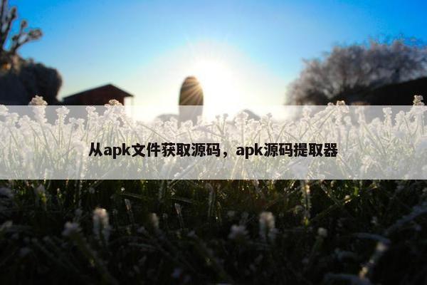 从apk文件获取源码，apk源码提取器