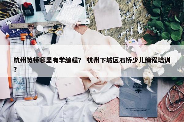 杭州笕桥哪里有学编程？ 杭州下城区石桥少儿编程培训？