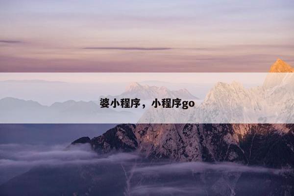 婆小程序，小程序go
