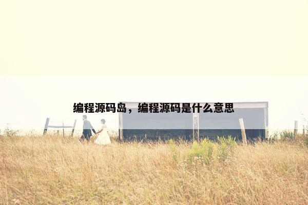 编程源码岛，编程源码是什么意思