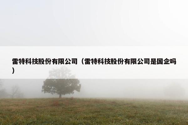 雷特科技股份有限公司（雷特科技股份有限公司是国企吗）