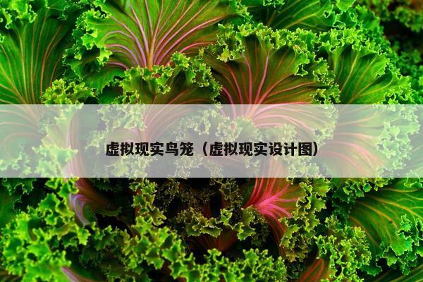 虚拟现实鸟笼（虚拟现实设计图）