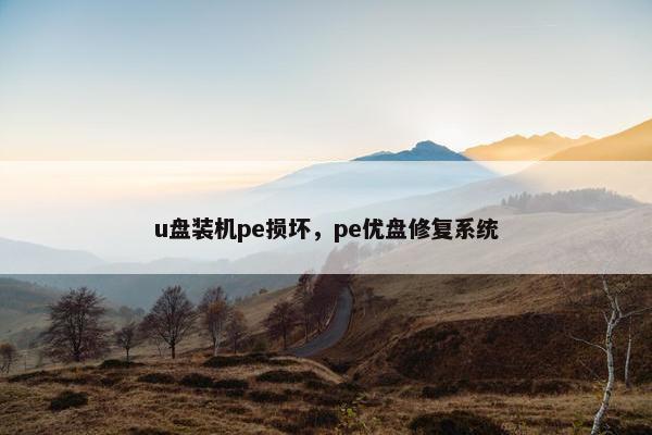 u盘装机pe损坏，pe优盘修复系统