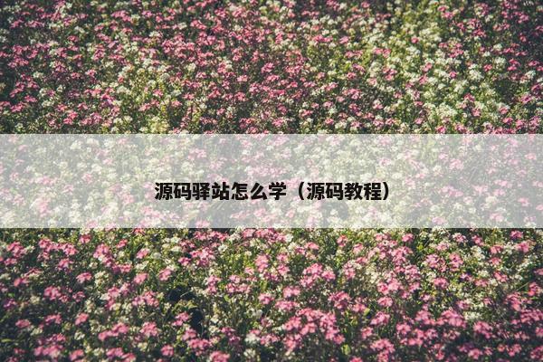 源码驿站怎么学（源码教程）