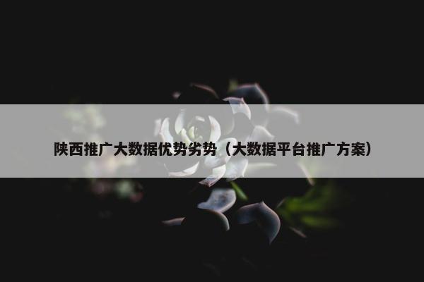 陕西推广大数据优势劣势（大数据平台推广方案）