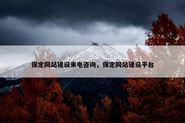 保定网站建设来电咨询，保定网站建设平台