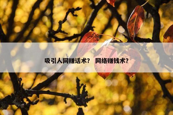 吸引人网赚话术？ 网络赚钱术？