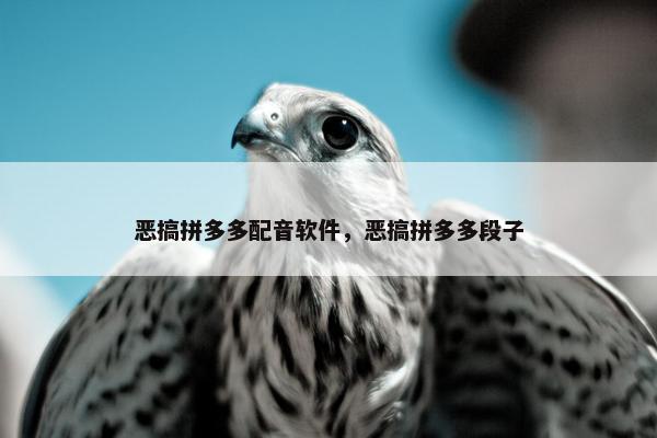恶搞拼多多配音软件，恶搞拼多多段子