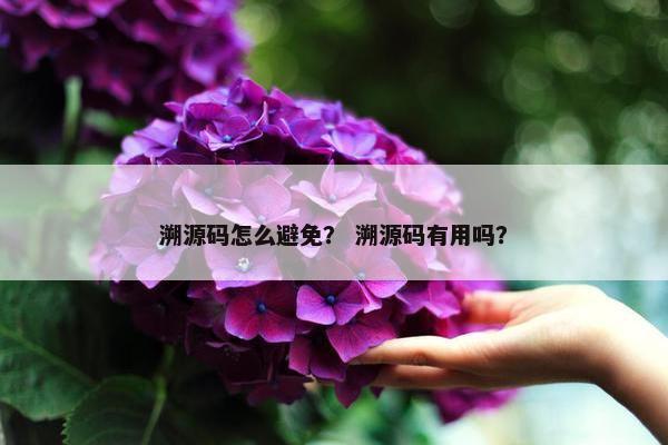 溯源码怎么避免？ 溯源码有用吗？