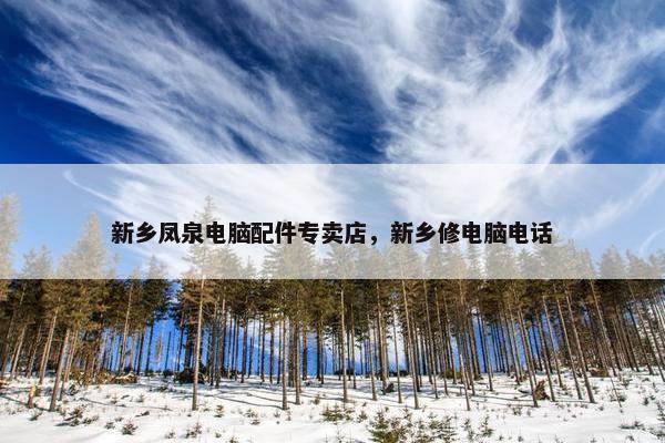 新乡凤泉电脑配件专卖店，新乡修电脑电话