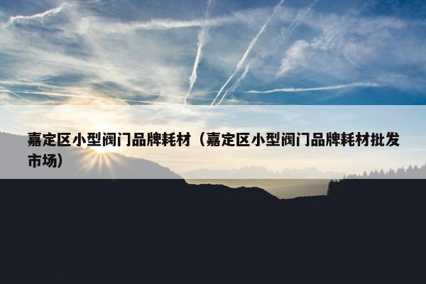 嘉定区小型阀门品牌耗材（嘉定区小型阀门品牌耗材批发市场）
