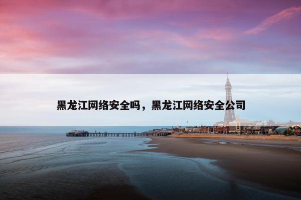 黑龙江网络安全吗，黑龙江网络安全公司