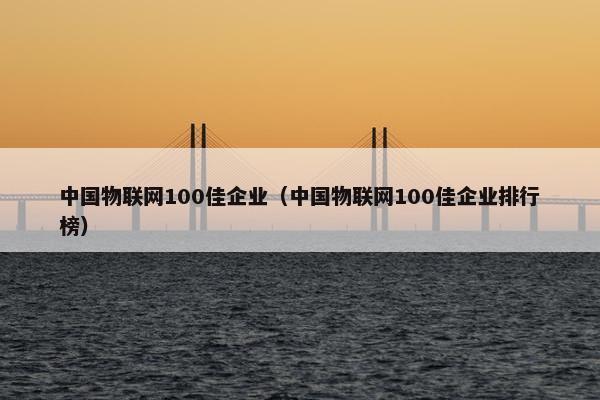 中国物联网100佳企业（中国物联网100佳企业排行榜）